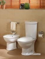 Унитаз Villeroy & Boch Amadea 769510R1 напольный