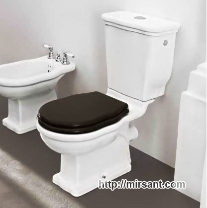 Унитаз Hermitage HEV004+HEC001+HEA005